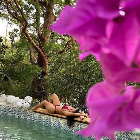 Etnia Lodge Minca Εξωτερικό φωτογραφία