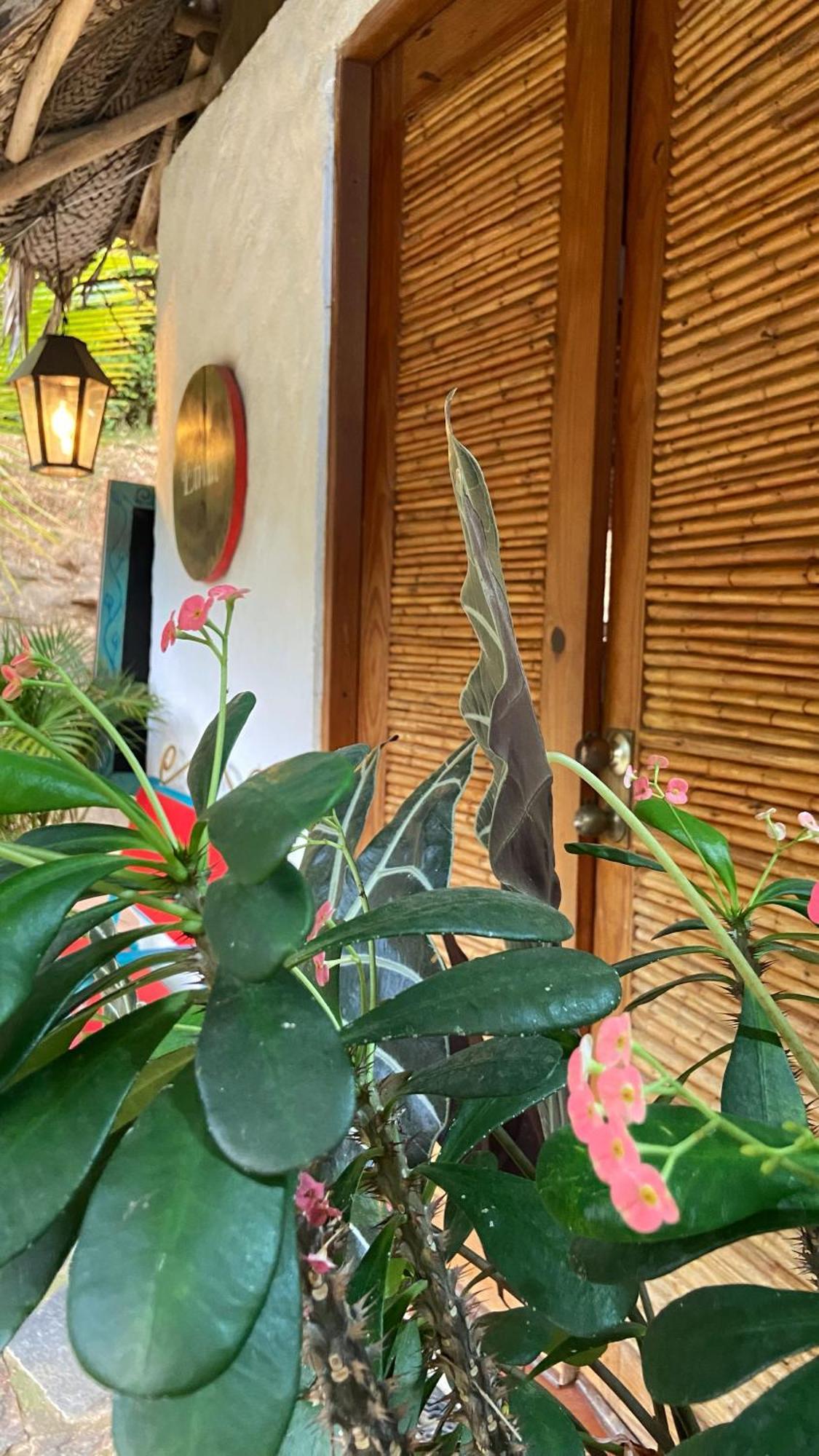 Etnia Lodge Minca Εξωτερικό φωτογραφία