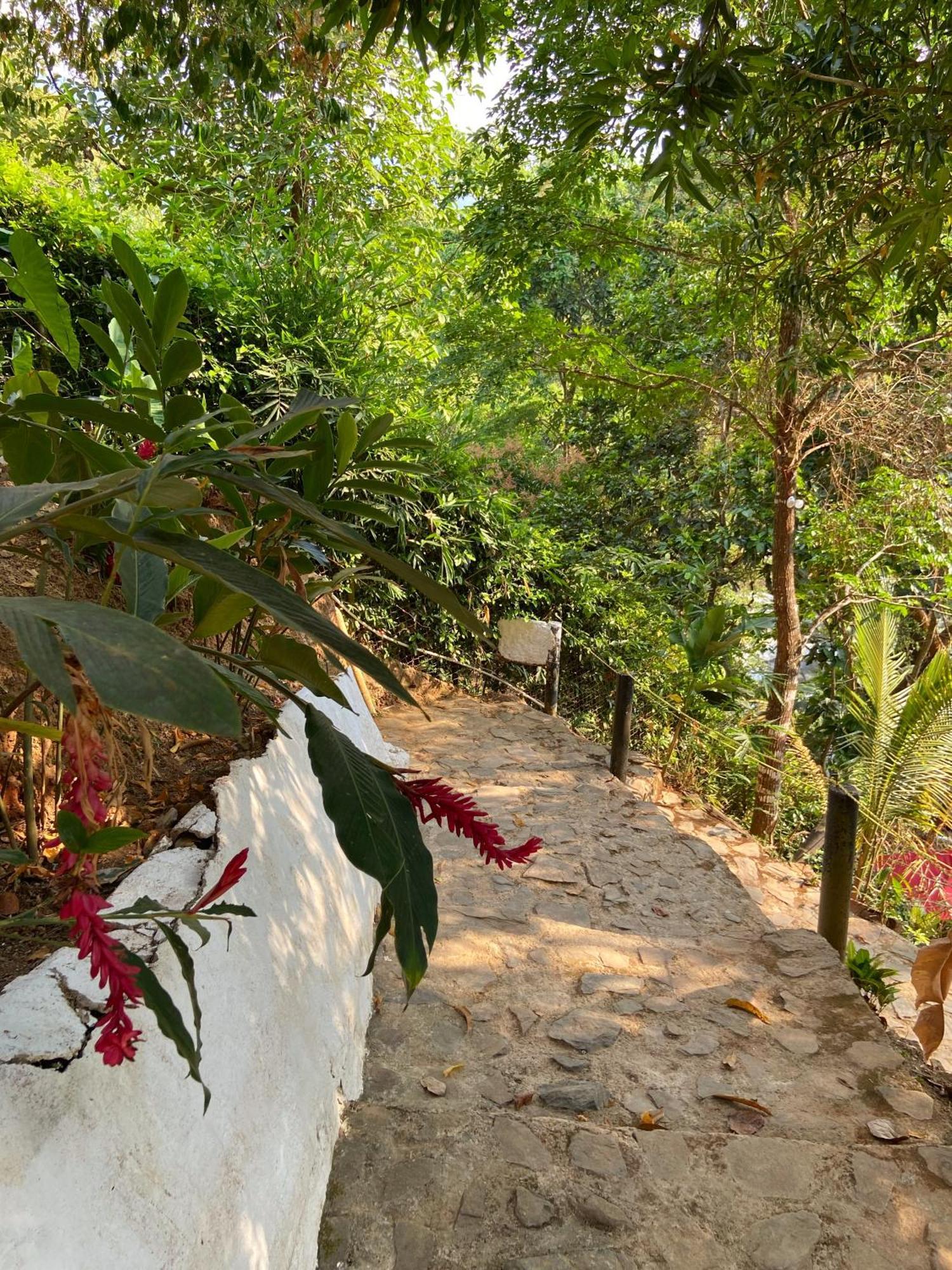 Etnia Lodge Minca Εξωτερικό φωτογραφία